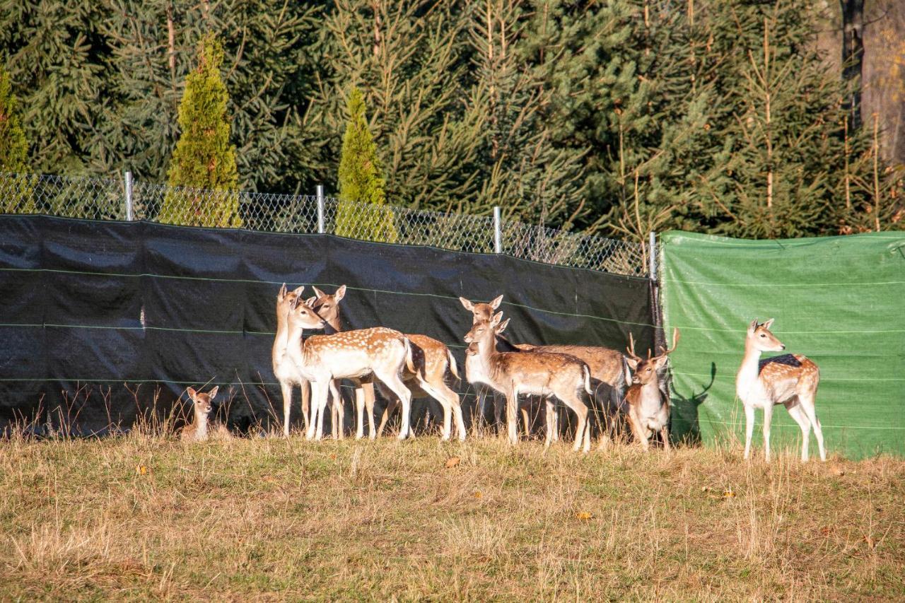 Grand Tatry - Miejsce Na Wyjatkowy Pobyt Dla Ciebie I Twojej Rodziny! - Sauna I Jacuzzi Wliczone W Cene Pobytu -10 Minut Pieszo Od Term Bania Białka Tatrzańska Kültér fotó
