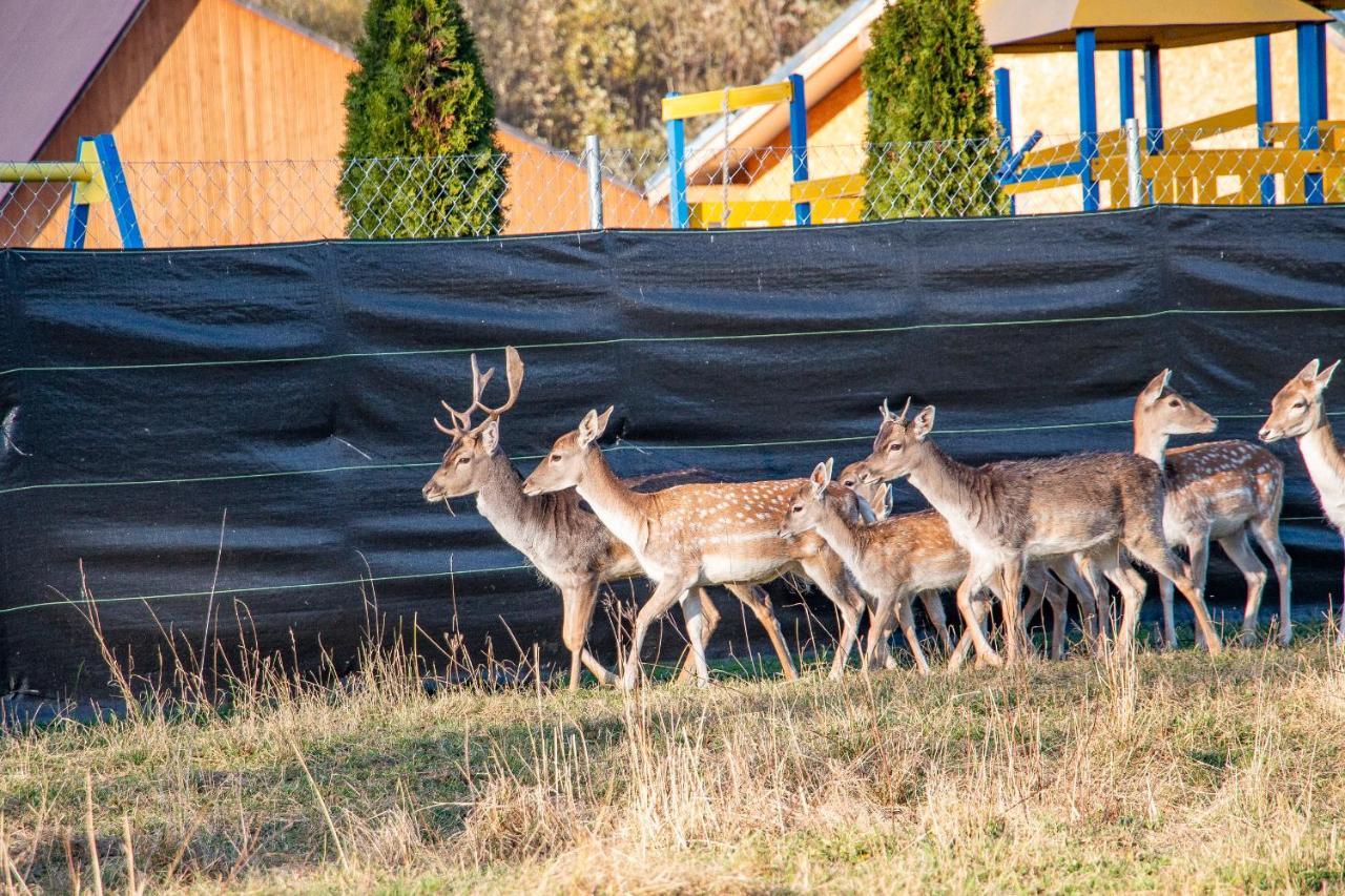 Grand Tatry - Miejsce Na Wyjatkowy Pobyt Dla Ciebie I Twojej Rodziny! - Sauna I Jacuzzi Wliczone W Cene Pobytu -10 Minut Pieszo Od Term Bania Białka Tatrzańska Kültér fotó