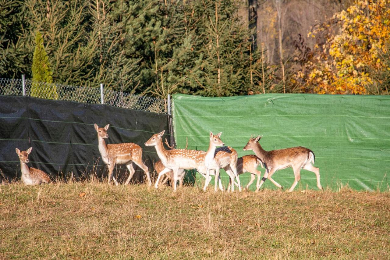 Grand Tatry - Miejsce Na Wyjatkowy Pobyt Dla Ciebie I Twojej Rodziny! - Sauna I Jacuzzi Wliczone W Cene Pobytu -10 Minut Pieszo Od Term Bania Białka Tatrzańska Kültér fotó